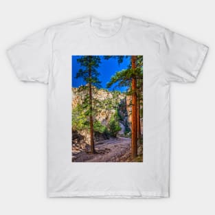 Lick Wash Trail Hike T-Shirt